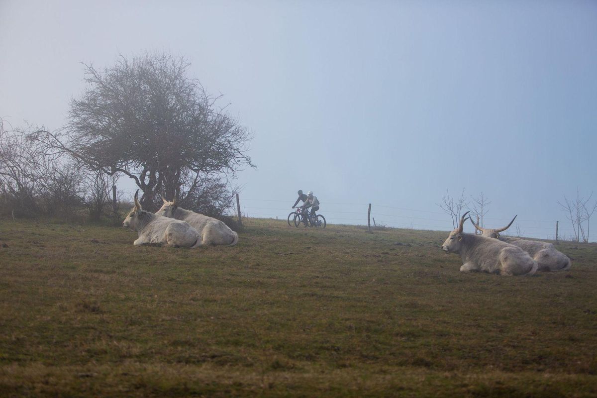 karacsonyi-bringazas-a-balatonnal.jpg
