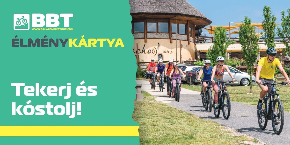 Panoramic lunch with eBike experience in Tihany